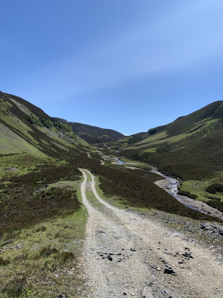 Gemächlich schlängelt sich der Weg die seichten Hügel hinauf, bis man irgendwo einen Pass erreicht, nachdem es auf die selbe Art und Weise wieder runter