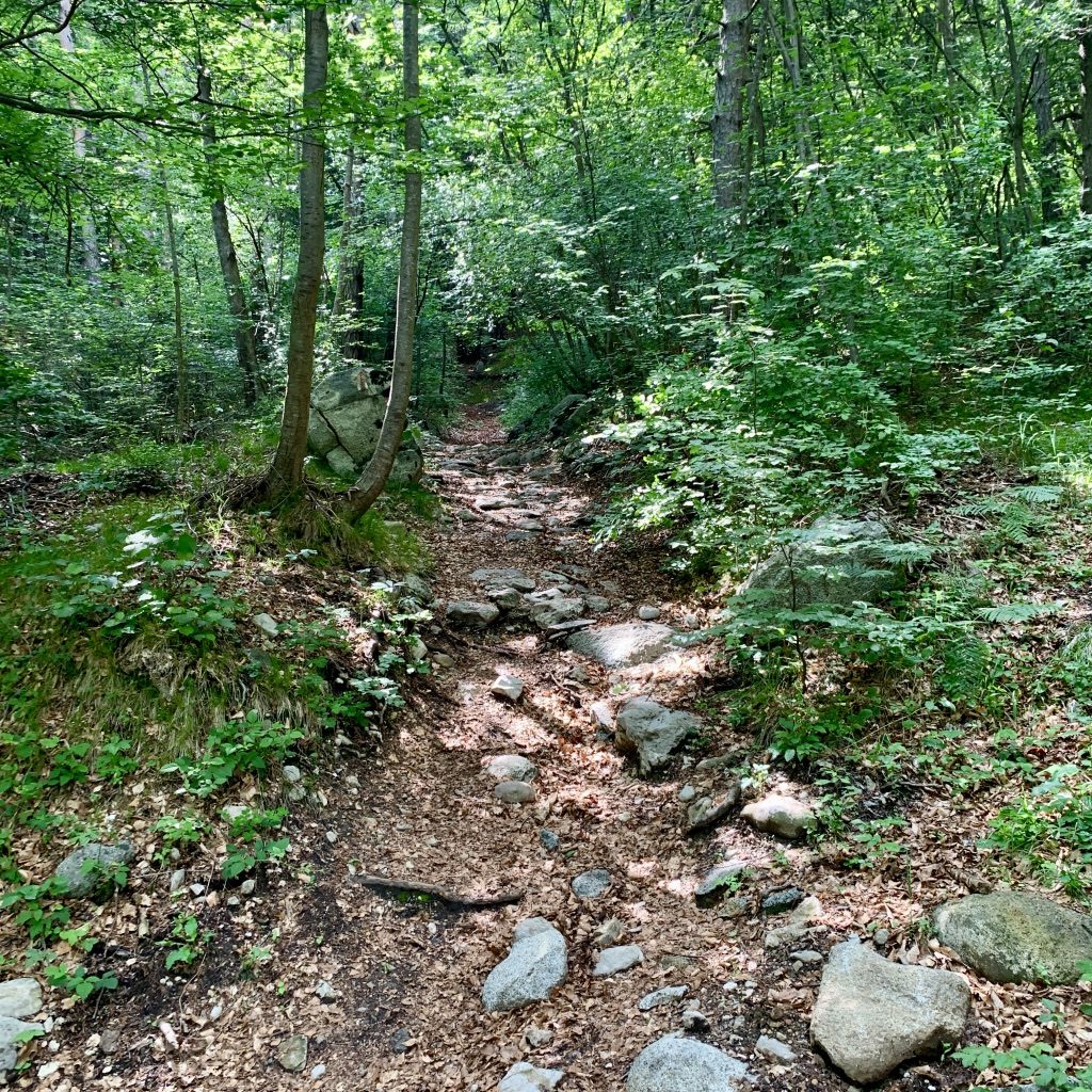 Blick zur alten Römerstraße hinauf