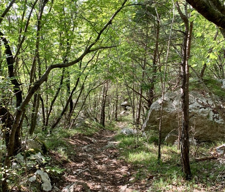 Der Trail unterhalb der Capanna Caduti del Monte Baldo war ein wirklich lohnenswerter Umweg.