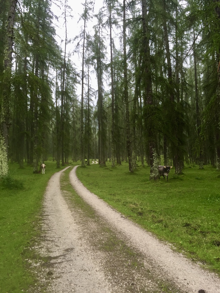 Nachdem wir bislang nur auf der Straße unterwegs waren, war das der erste Weg, abseits der "richtigen" Zivilisation.