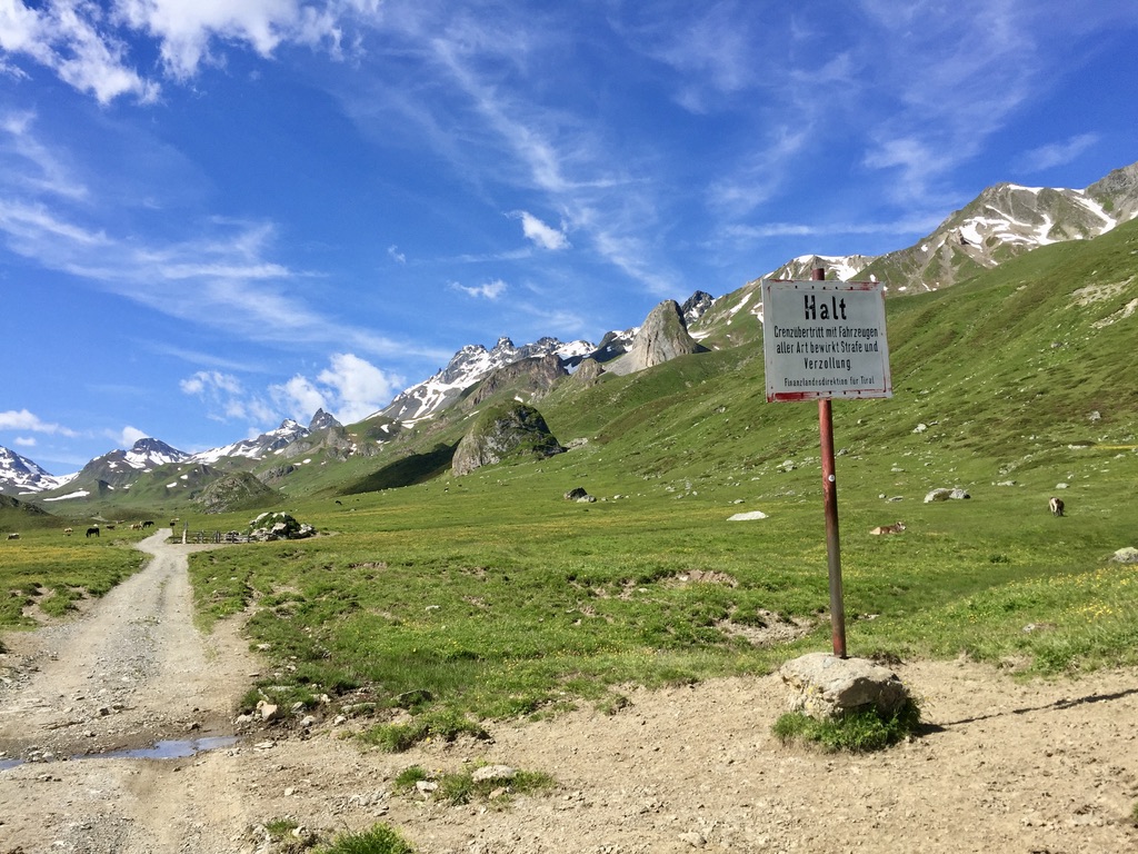 Eine Grenze, wie sie mir gefällt. Kein Schlagbaum und keine Zöllner*innen, nur Kühe und Berge