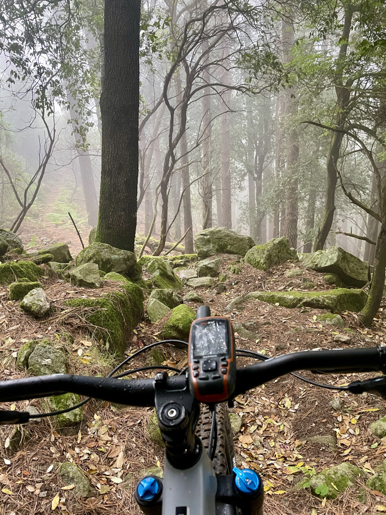 Der erste Anstieg auf dem Wanderweg nach Marciana. Fahrbar war hier gar nichts.