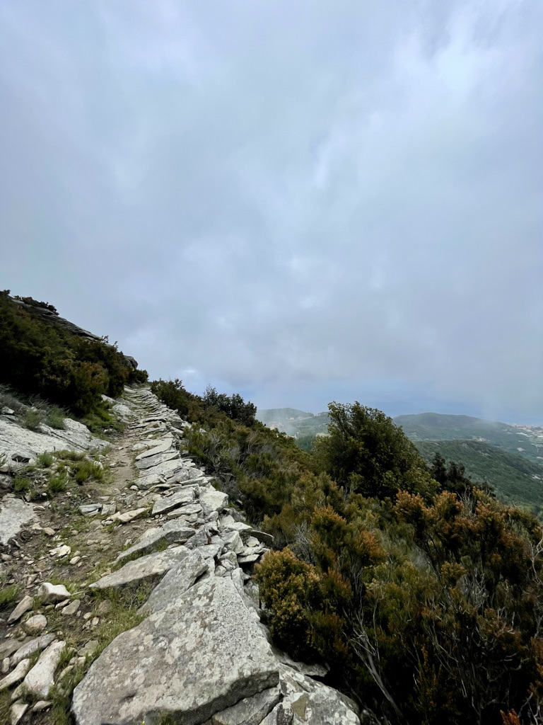 Einmal "oben" angekommen, führte der Trail mal mehr, mal weniger gut ausgebaut unterhalb des Monte Capanne entlang